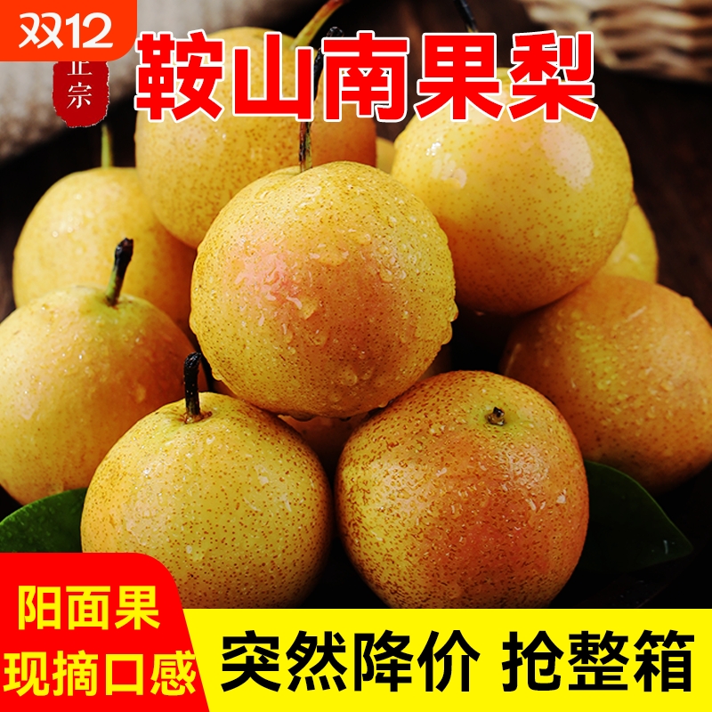 南果梨5斤包邮新鲜|超1000次加购