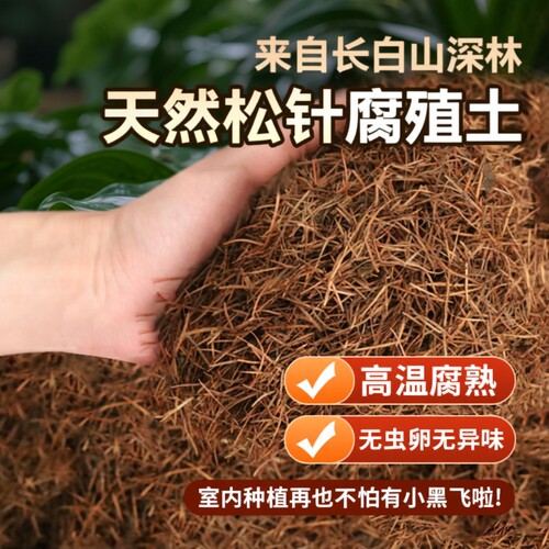 松针腐殖土天然腐叶腐熟君子兰土
