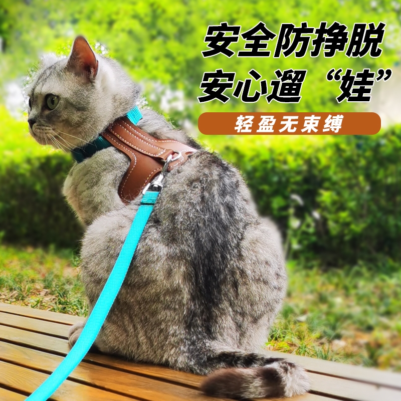 猫咪牵引绳防挣脱户外胸背带