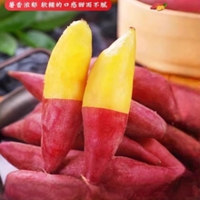 正宗临安天目山小香薯2/3/5斤新鲜板栗红薯沙地农家番薯蜜薯地瓜