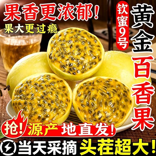 今年头茬特大！钦蜜9号百香果