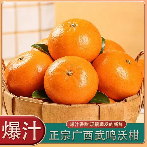 广西沃柑整箱发9斤净果新鲜现摘应季老人孕妇小孩当季武鸣甜橘子