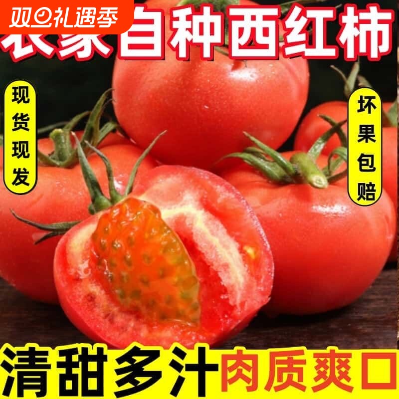 老果农自种阳光水果西红柿