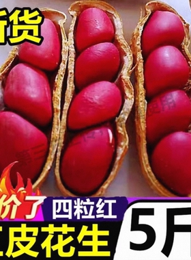 红皮花生米2025新货四粒红去壳新鲜干花生米红衣农家自种生花生