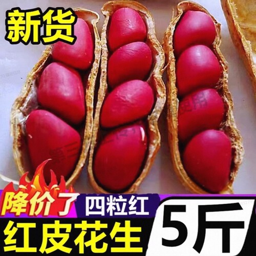 红皮花生米2025新货四粒红去壳新鲜干花生米红衣农家自种生花生