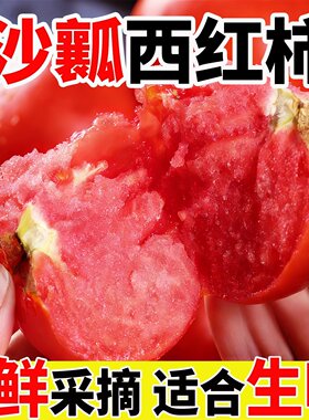 沙瓤新鲜现摘西红柿应季大番茄自然熟番茄优质生吃清甜老品种味道