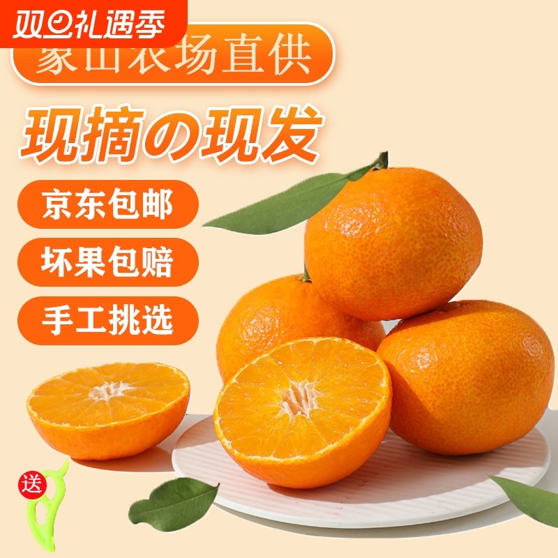 正宗象山红美人柑橘当季现摘新鲜水果桔子爱媛28号橙子礼盒装农场