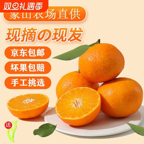 正宗象山红美人柑橘当季现摘新鲜水果桔子爱媛28号橙子礼盒装农场