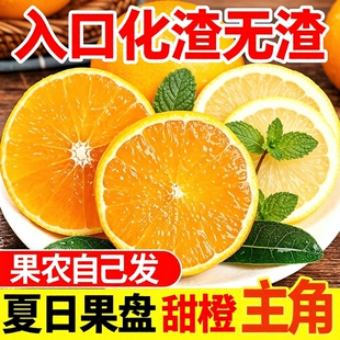 现摘夏橙新鲜湖南江永蜜橙水果柑橘榨汁手剥橙子大果甜橙