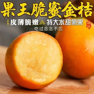 正宗广西融安脆蜜金柑第三代金桔新鲜水果橘子现摘年货节脆甜精品