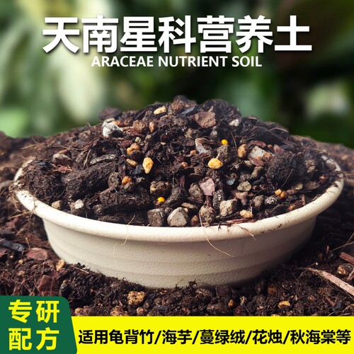 天南星科热植土专用营养土