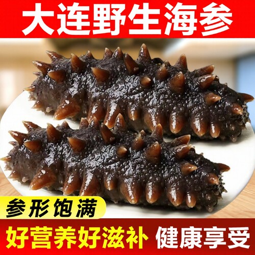 新鲜即食海参刺参野生长岛辽参500g鲜活渗干货大连礼盒水产冷冻