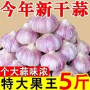 山东金乡大蒜新鲜3斤 5斤紫白皮干大蒜农家特大果大蒜批发蔬菜