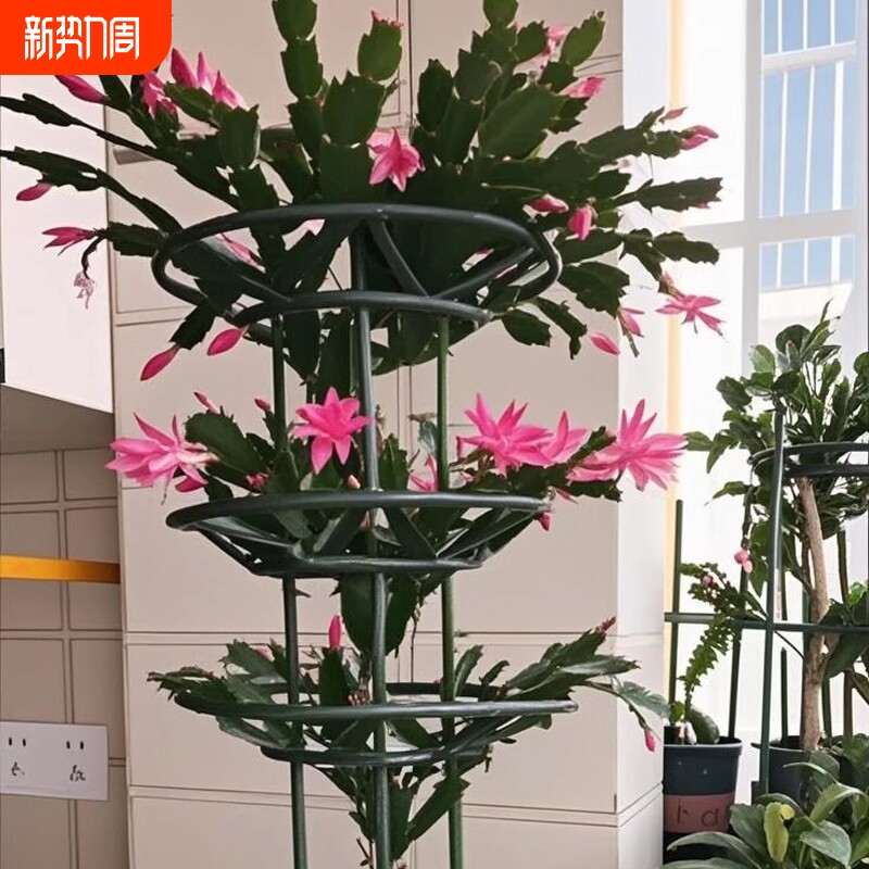 花卉支架蟹爪兰花架昙花支架开口支架花卉爬藤架支撑架通用花架