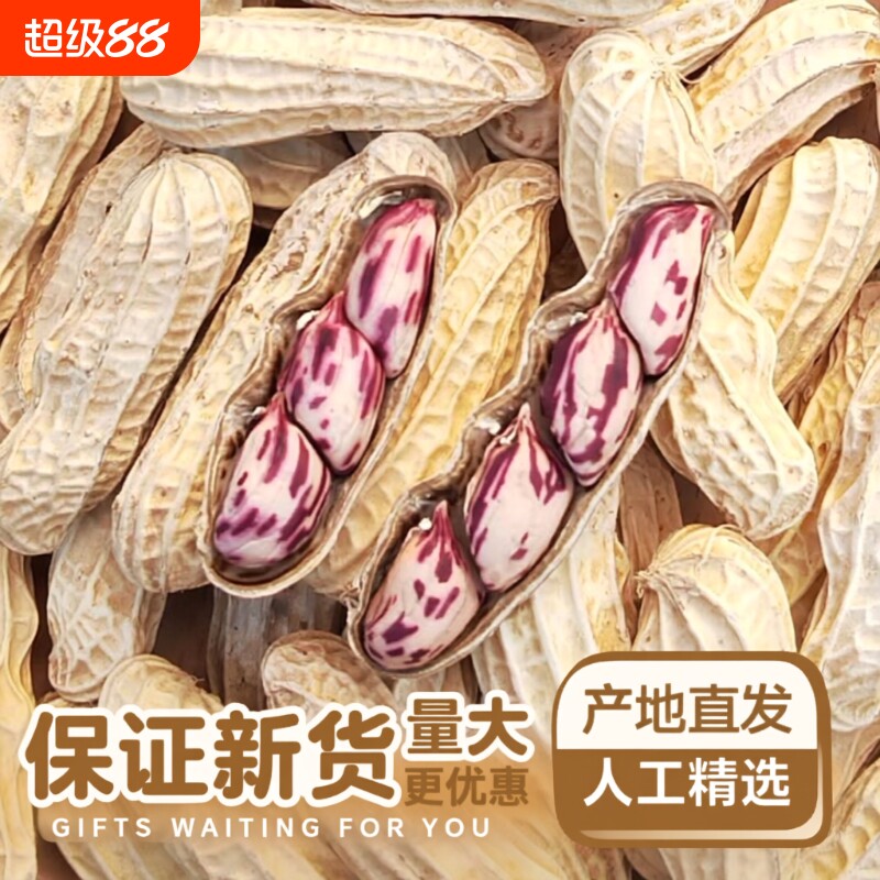 2025带壳七彩花生云南普洱晒干五彩花熟花生零食水煮咸干散装彩色