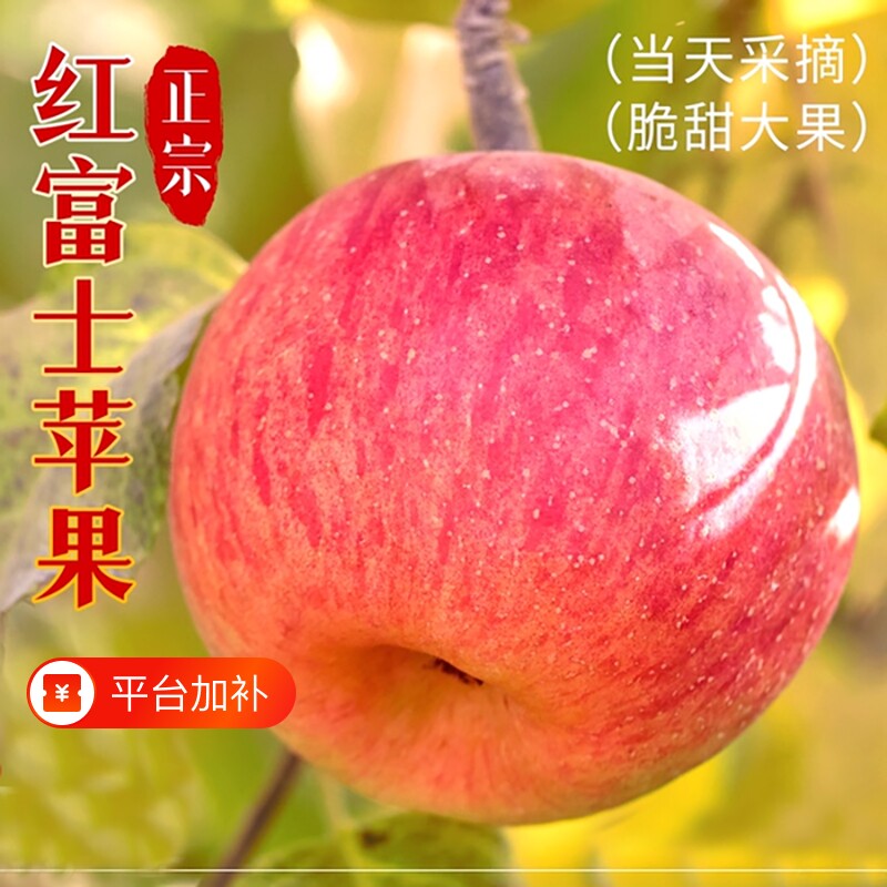 山西冰糖心苹果正宗红富士苹果脆甜应季孕妇水果整箱产地现摘现发