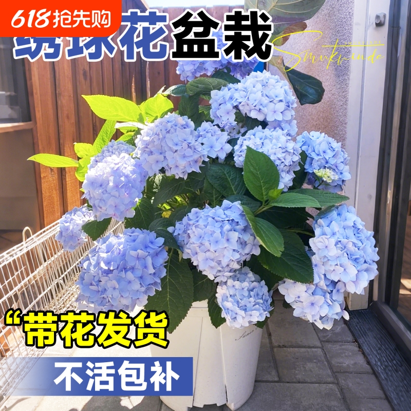 硾Ʒ׮  Ժ ļ޾׮24.19Ԫ