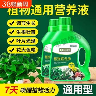 竹子烂根除专用竹根连根除强力去竹粉大树灭杂草灌木专用剂正品L