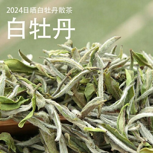 福鼎老白茶2026年白牡丹散装袋装高山茶叶100克500克一级花香手工