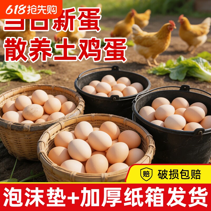 农家散养正宗土鸡蛋50g新鲜谷物蛋现捡现发月子营养早餐宝宝辅食
