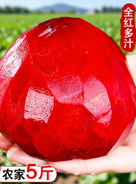 新鲜红菜头现挖|超1000次加购