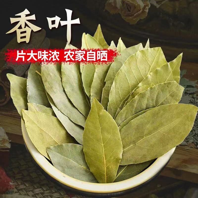 香叶月桂叶火锅卤料炖肉炒菜饭店调味料新鲜香料商用批发花椒家用