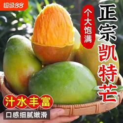 产地直发攀枝花芒果凯特芒当季新鲜水果当季四川忙果甜青皮大澳芒