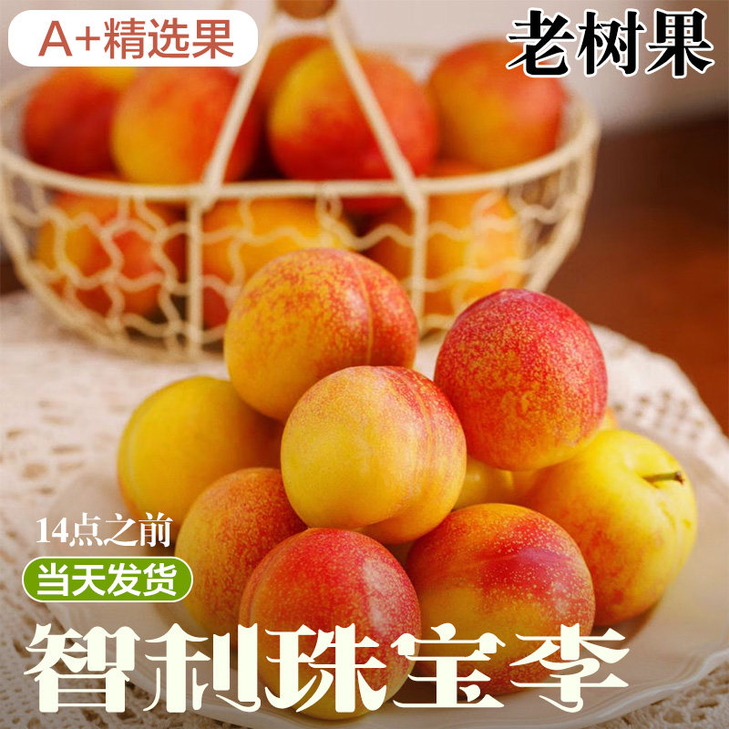 智利进口珠宝李新鲜黄肉李子新鲜当季孕妇水果黑布林脱骨李