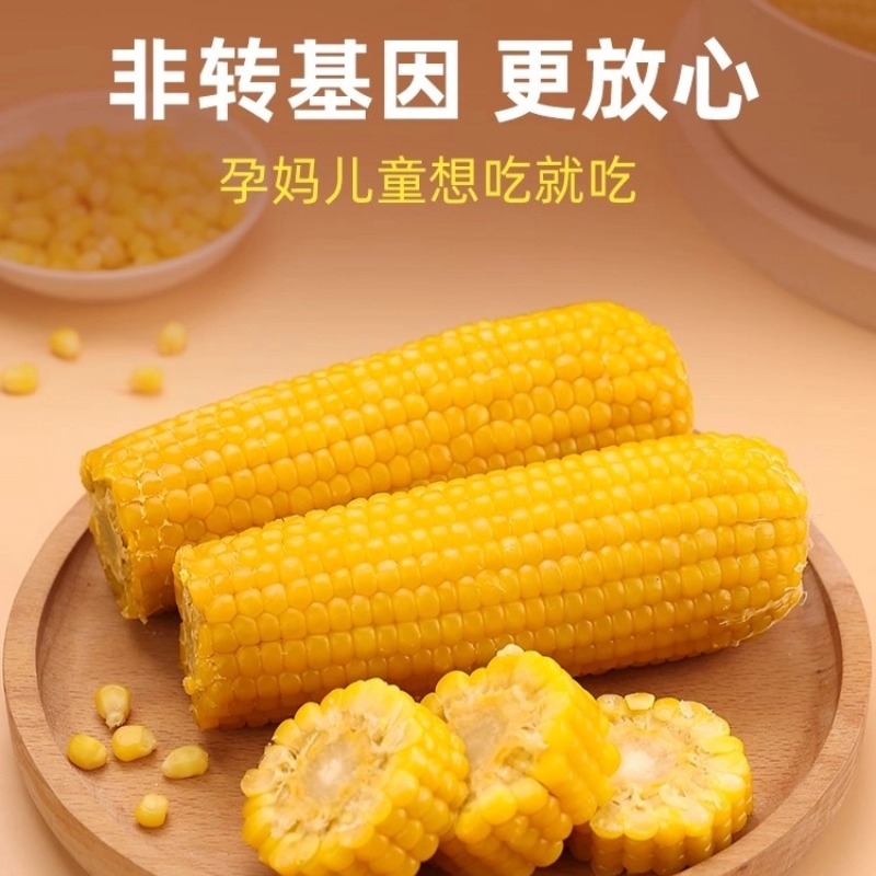 2025年新东北黄糯玉米10根真空包装新鲜现摘香粘粘苞米非即食粗粮