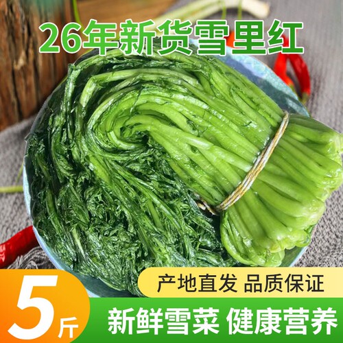 东北农家盐渍雪里红5斤