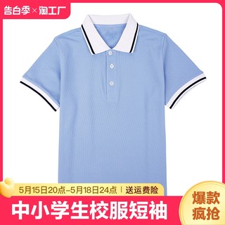 中小学生校服短袖浅蓝色儿童POLO衫夏季纯棉翻领T恤班服套装定制