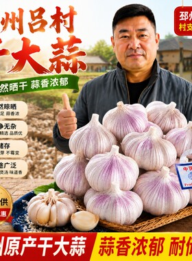 2026新蒜邳州大蒜果实产地直发紫白皮干大蒜头糖醋直供精选发芽