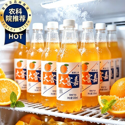 大窖嘉橙味香槟荔枝菠萝汽水500ml解暑碳酸饮料批发整箱果味瓶装