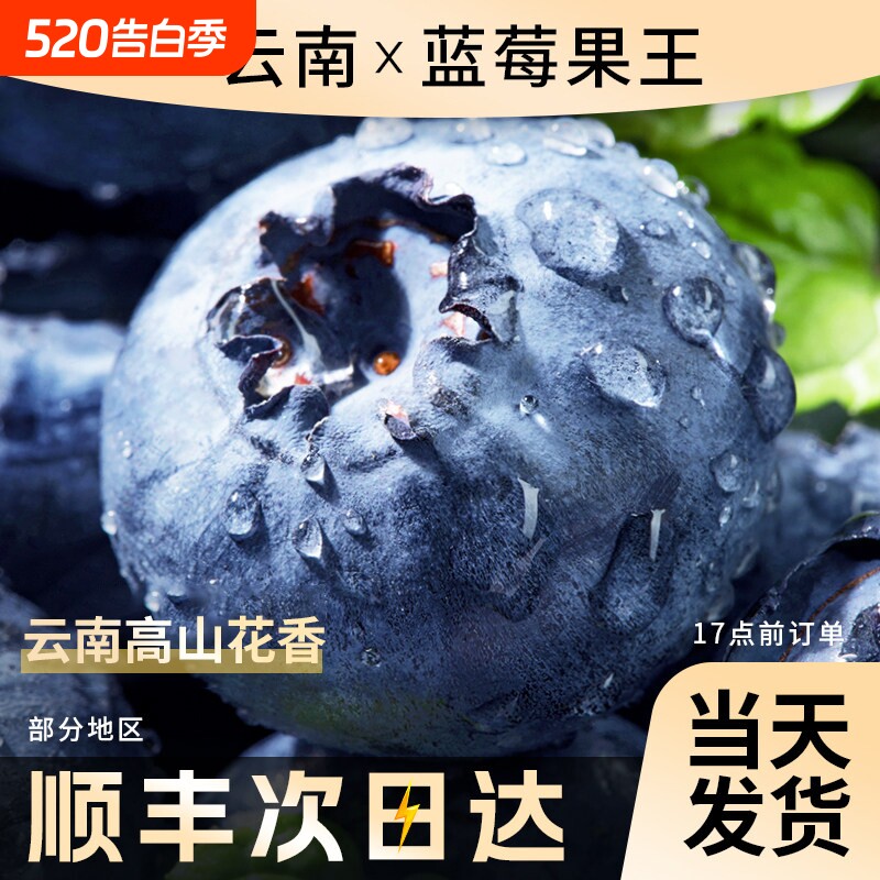 云南蓝莓新鲜水果当季蓝梅鲜果现摘花香高山孕妇整箱顺丰包邮