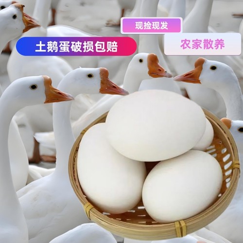 农家散养鹅蛋新鲜孕妇土鹅蛋大鹅蛋天然现捡现发