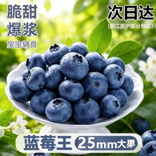 云南花香高山蓝莓新鲜果应当季水果枝l25整特大果产地直发包邮