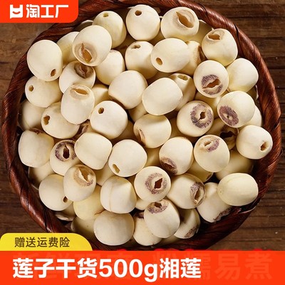 湖南湘潭精选白莲子500g特产级