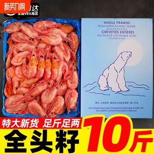 北极甜虾头籽北极熊甜虾刺身北极虾腹籽特大号冰虾即食元宝虾冷冻