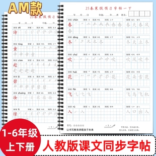 2025年人教版小学一二三四五六年级上下册语文课本同步练字帖AM款识字田字格句子练习写字帖描红硬笔书法培训教材