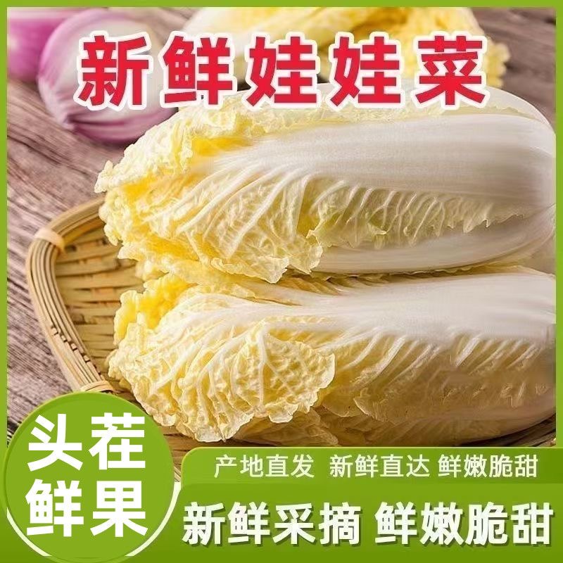 黄心娃娃菜新鲜现摘甜嫩小棵白菜火锅食材蔬菜宝宝辅食好吃青蔬菜