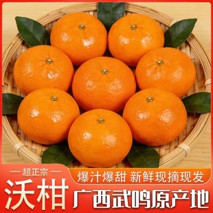 广西武鸣沃柑净重9斤新鲜现摘应季老人孕妇小孩当季武鸣爆汁沃柑