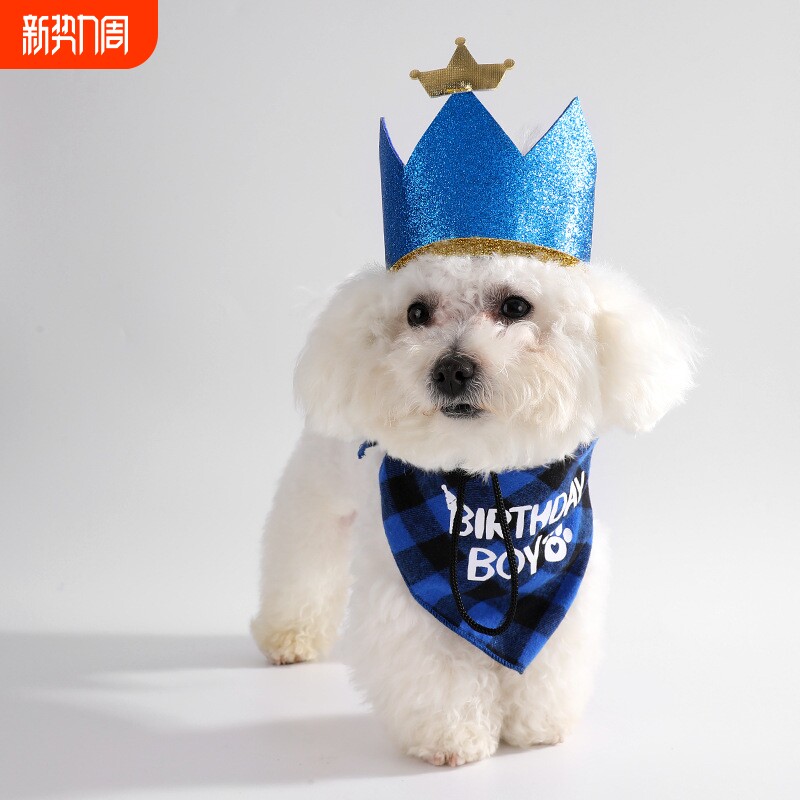 2025年宠物生日派对装饰帽子口水巾领结三件套狗狗围巾厂家生日