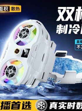 黑鲨双核磁吸半导体制冷散热器