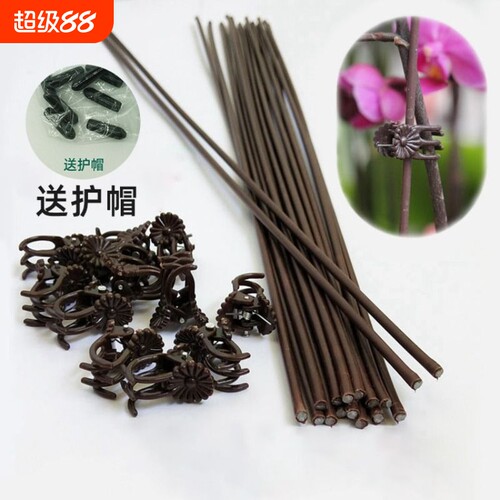 蝴蝶兰花支架夹子支撑杆园艺花夹