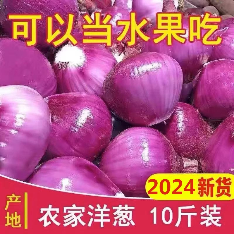 云南紫皮小洋葱新鲜9斤蔬菜