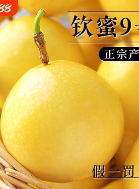 钦蜜9号黄金百香果|纯甜无酸