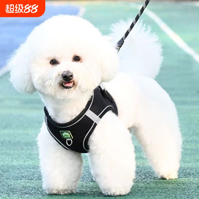 背心式狗狗牵引绳小型犬比熊泰迪博美小狗幼犬胸背带遛狗绳狗链子