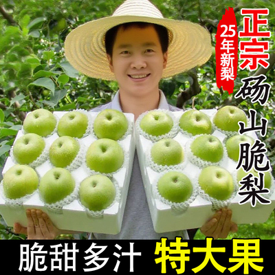 正宗砀山梨翠冠梨水果翠玉梨子新鲜9斤汤山脆冠青梨酥脆安徽产地