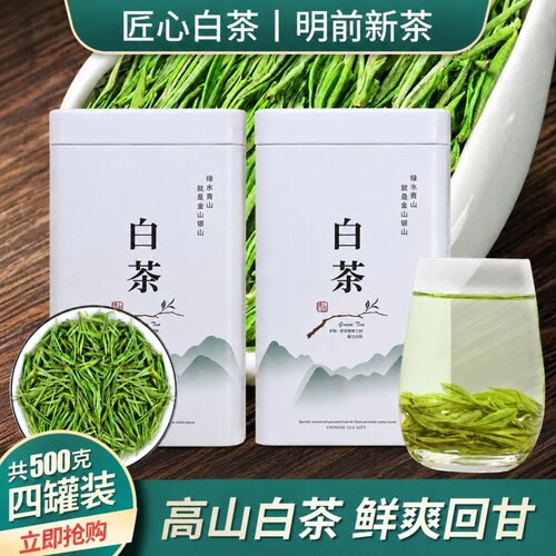 客满乐安吉正宗白茶新茶口粮茶清香型礼盒装散装高山绿茶茶叶送人