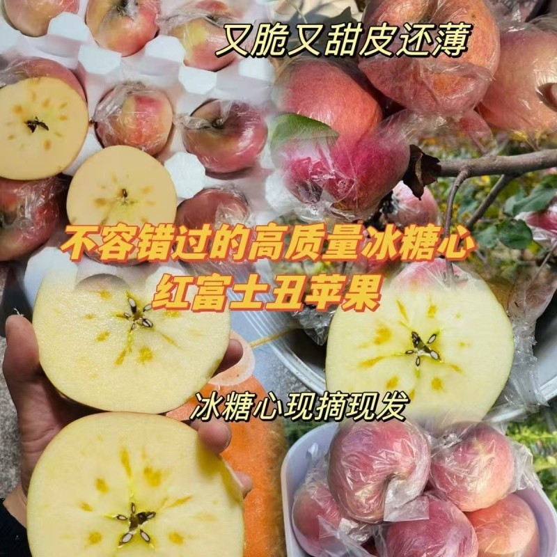 冰糖心红富士丑苹果现摘现发头茬当季脆甜爽口生鲜正宗精选果园